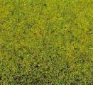 Streumaterial Frhlingswiesen-Gras 100 g, Beutel verschliessbar